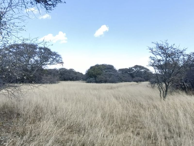 DEVELOPED SMALL GAME/SHEEP AND CATTLE FARM. CHALETS/REASTAURANT - Photo 8