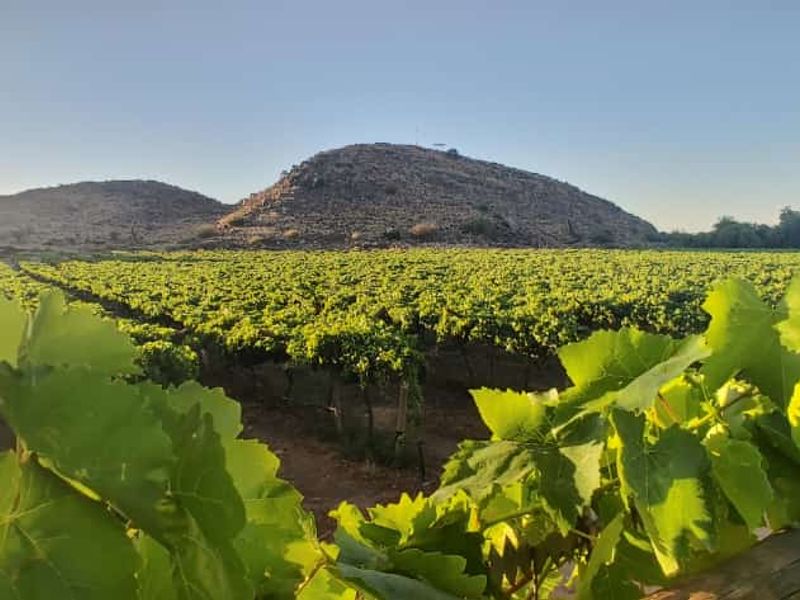 CALLING ALL THE ENTREPRENEURS! - Photo 10