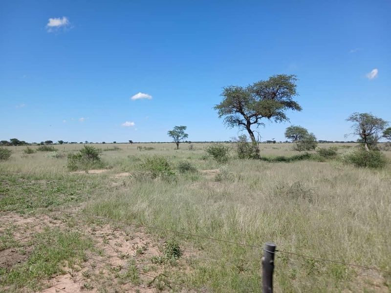 Farm For Sale - Photo 6