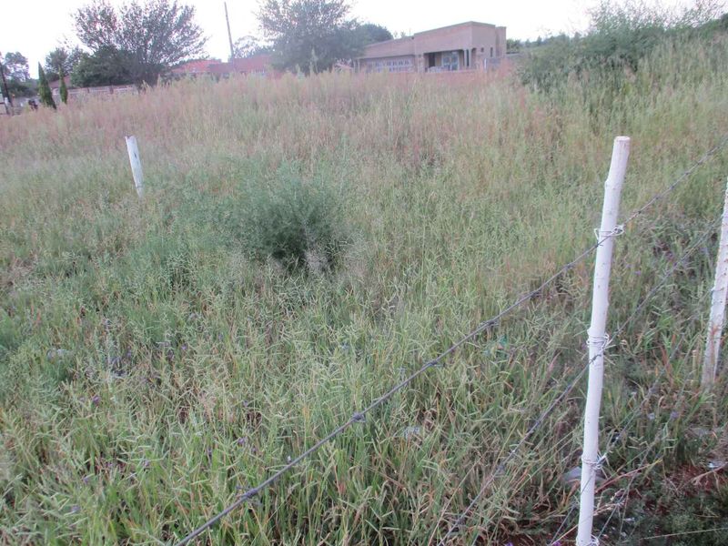 Good location, Business opportunity - Photo 4