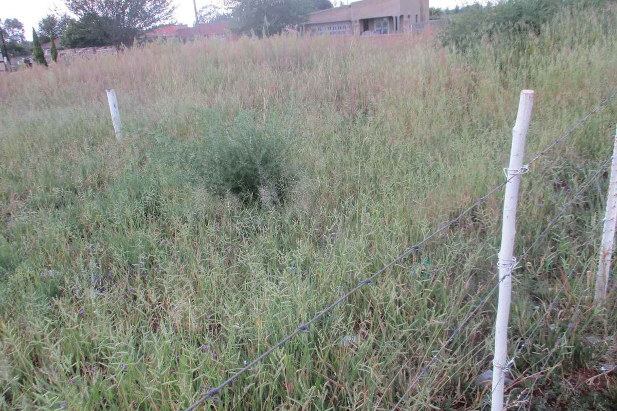 Good location, Business opportunity - Photo 4