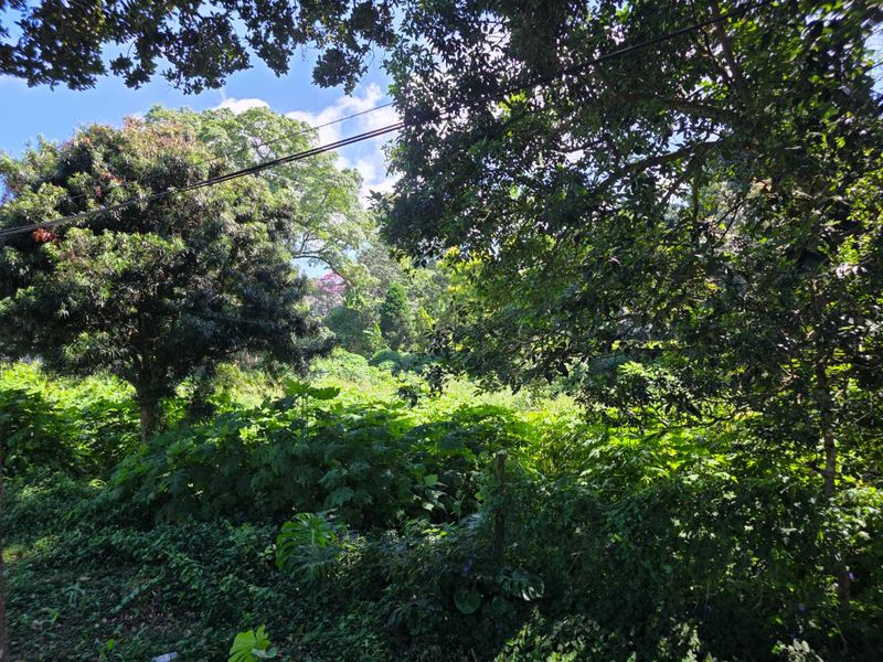 Prime Commercial Land for Sale in Kloof, Clifton Park - Photo 3