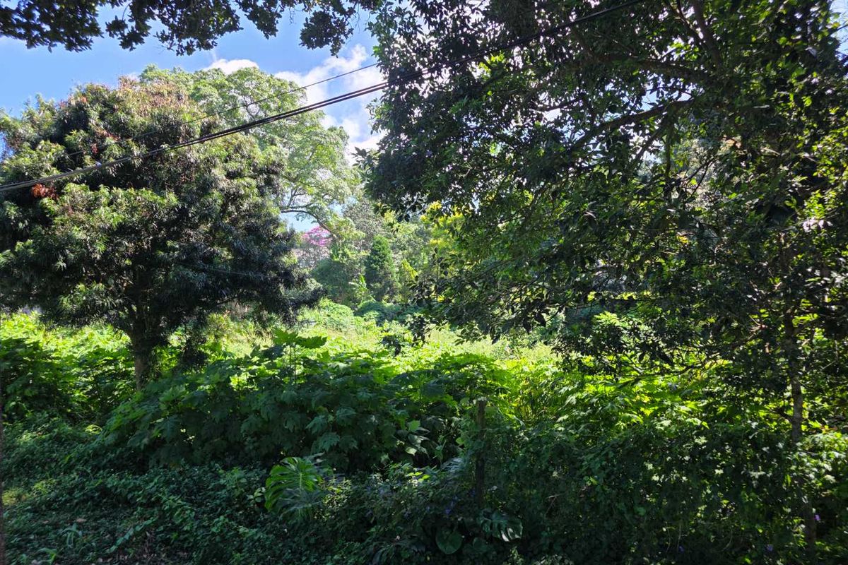 Prime Commercial Land for Sale in Kloof, Clifton Park - Photo 3