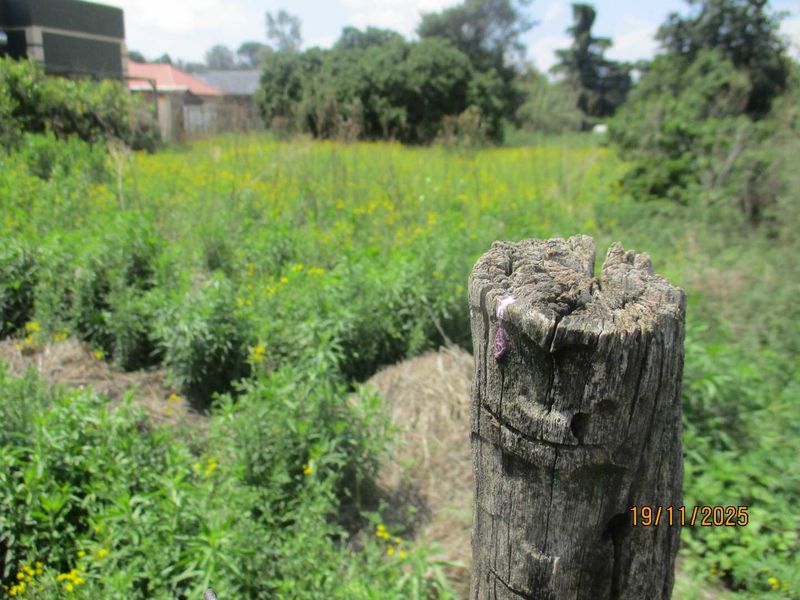 A view of a vacant residential plot featuring overgrown vegetation and a weathered wooden fence post in the foreground.