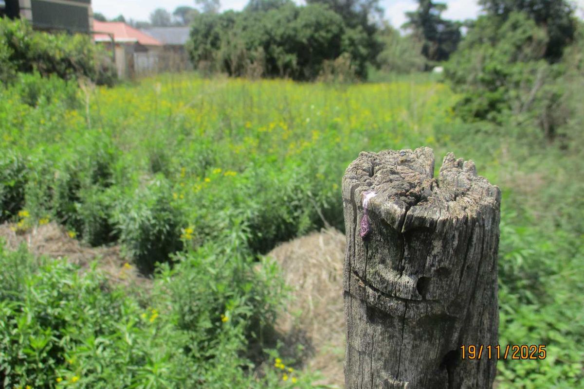 A view of a vacant residential plot featuring overgrown vegetation and a weathered wooden fence post in the foreground.