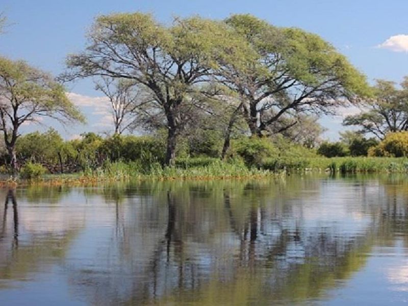 FOR SALE - LODGE AND CAMPSITE NEAR KATIMA MULILO, NAMIBIA - Photo 4