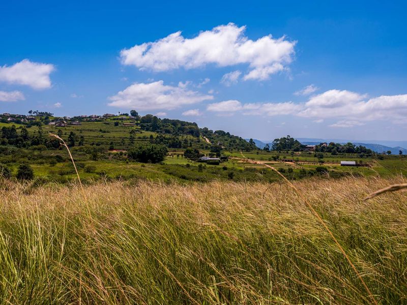 Peaceful Land in Stoneford Country Estate - Photo 9