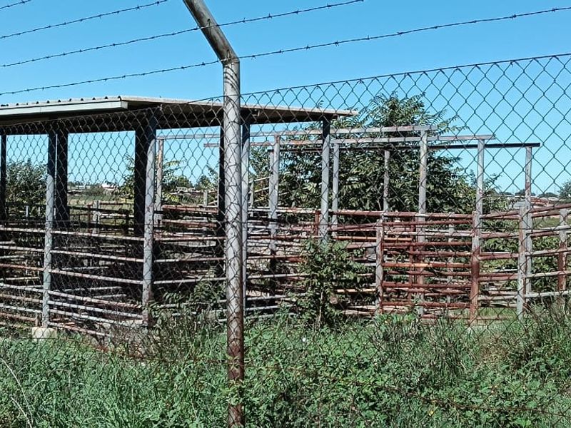 ABBATOIR FOR SALE BULTFONTEIN FREE STATE.EXCELLENT OPERTUNITY - Photo 4