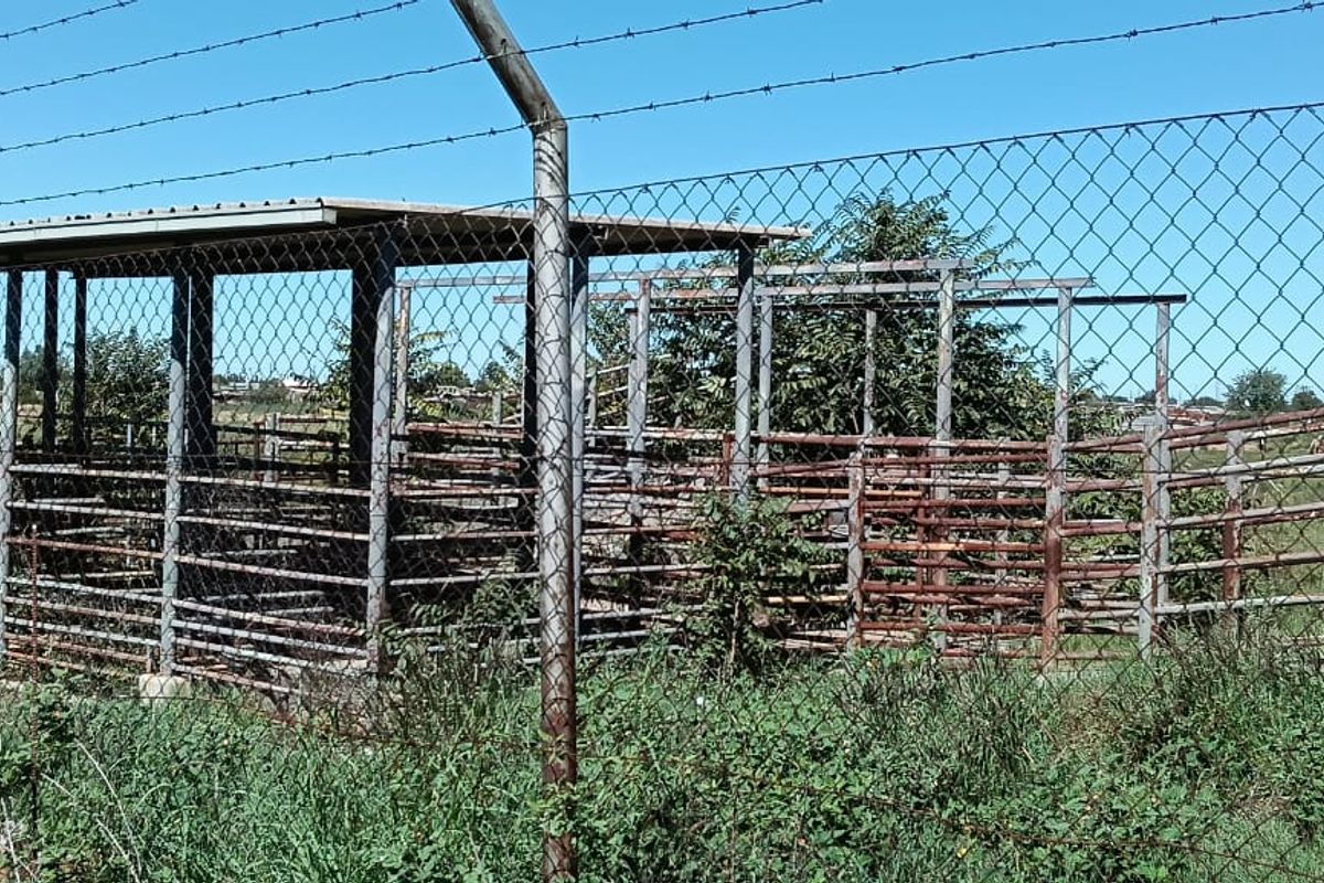 ABBATOIR FOR SALE BULTFONTEIN FREE STATE.EXCELLENT OPERTUNITY - Photo 4