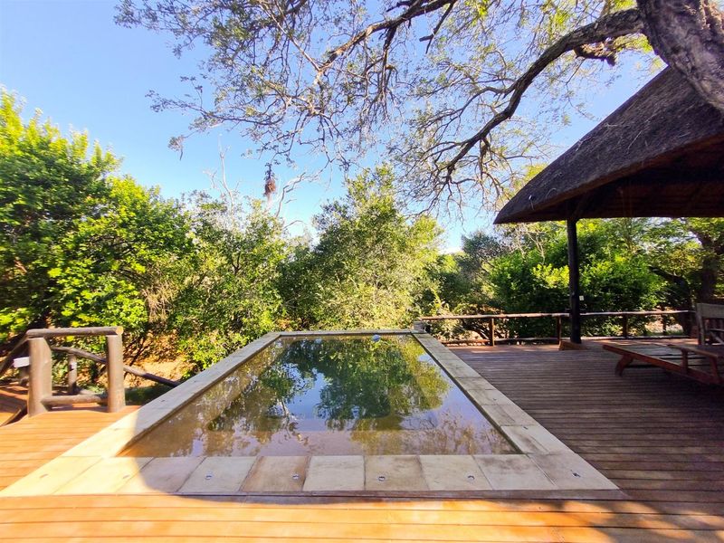 Stunning property in excellent condition with traverse right to Khaya Ndlovu - Photo 2