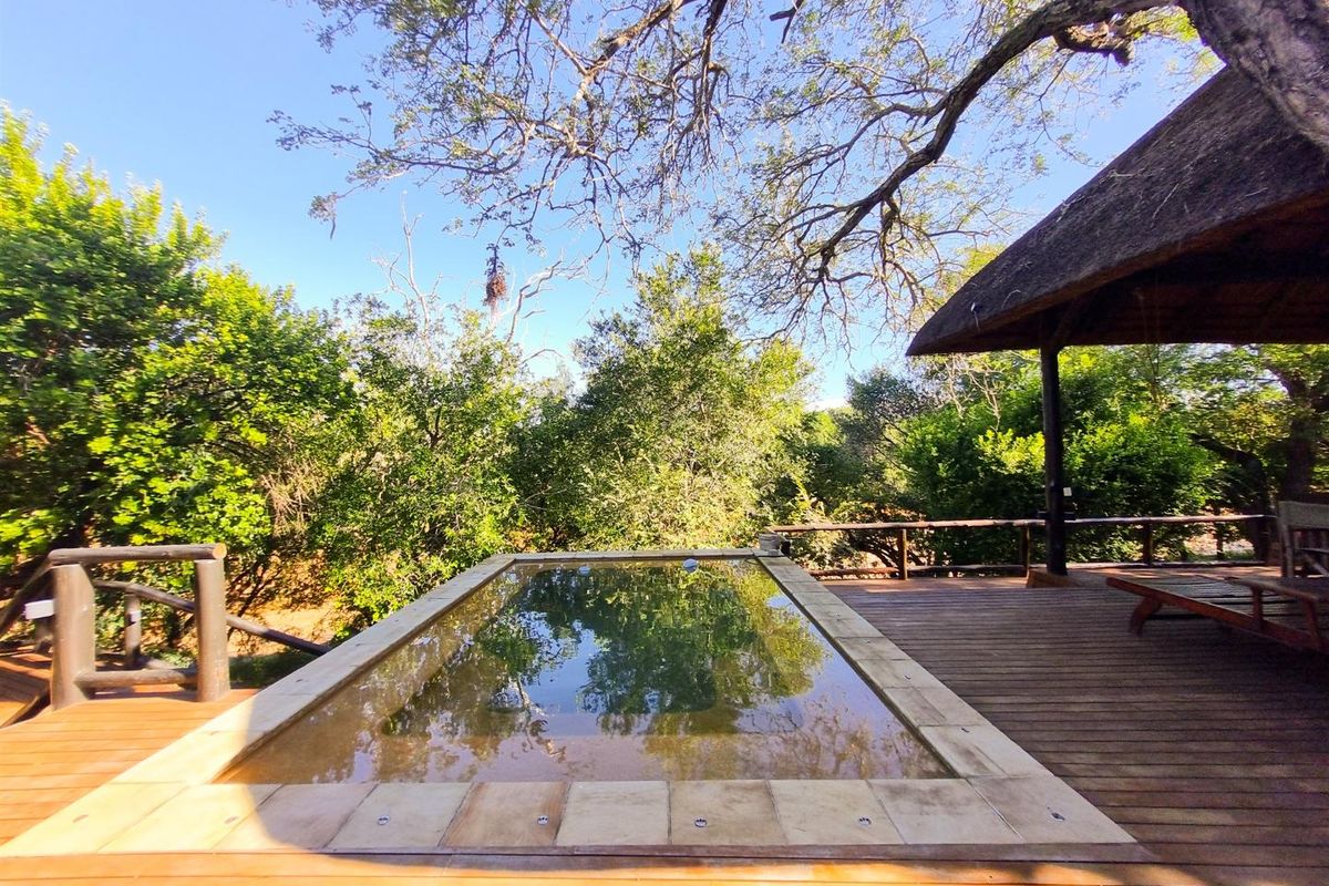 Stunning property in excellent condition with traverse right to Khaya Ndlovu - Photo 2