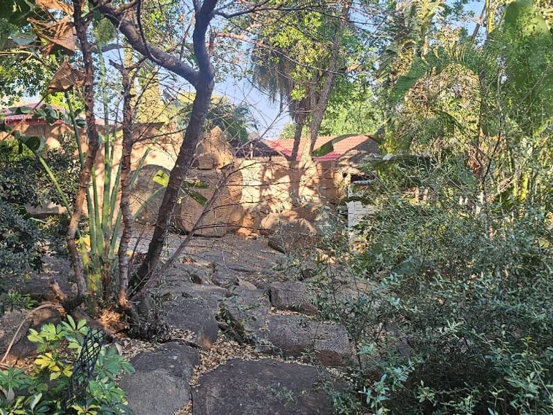 Spacious house in Elandsrand - Photo 2