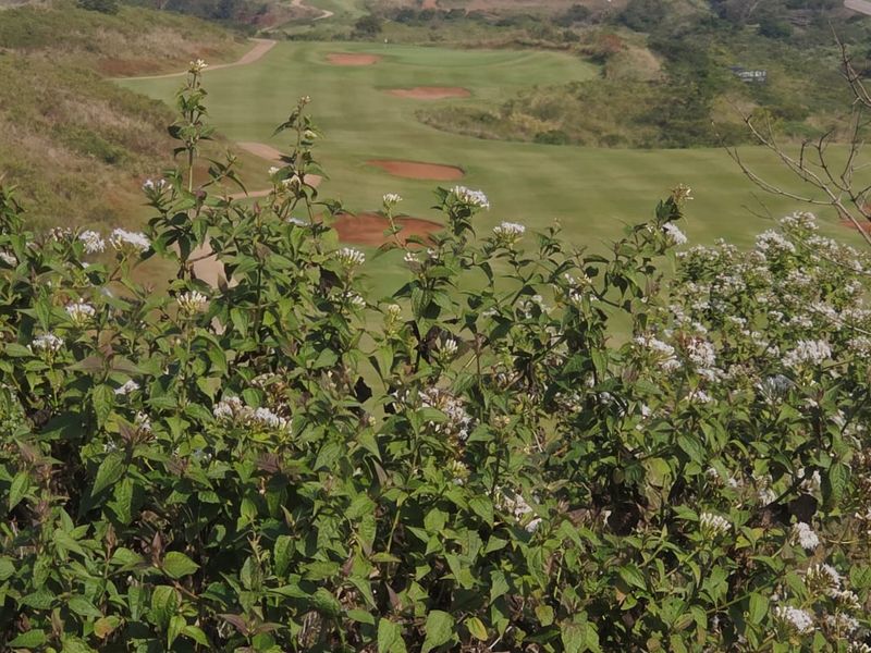 A scenic elevated view overlooking a well-maintained golf course fairway with sand bunkers.