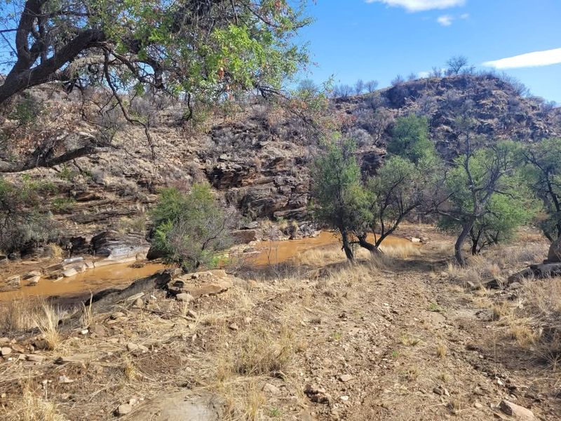 Vacant 13HA undeveloped land for Sale in Daan Viljoen area - Photo 2