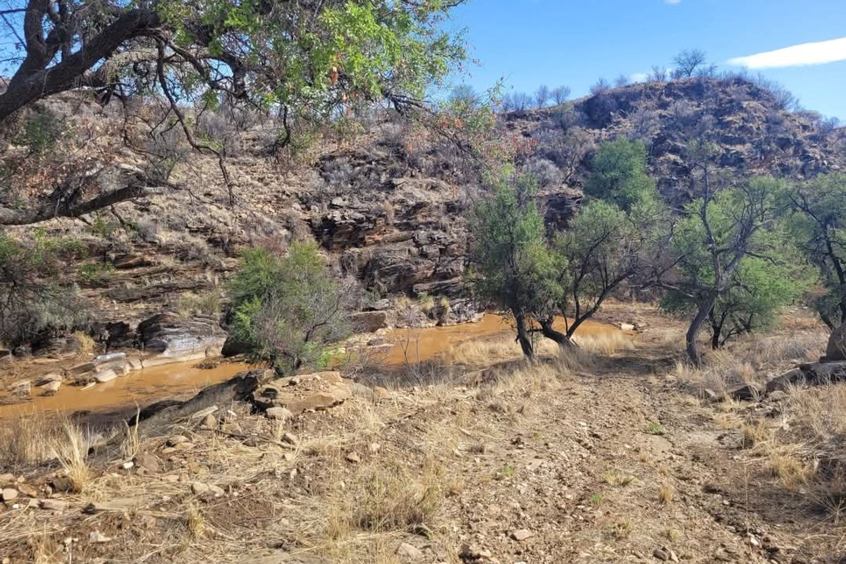 Vacant 13HA undeveloped land for Sale in Daan Viljoen area - Photo 2