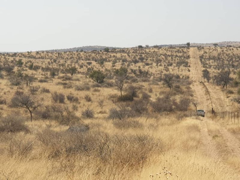 MANY HILLS - PLOT WITH 2 HOUSES FOR SALE - Photo 4