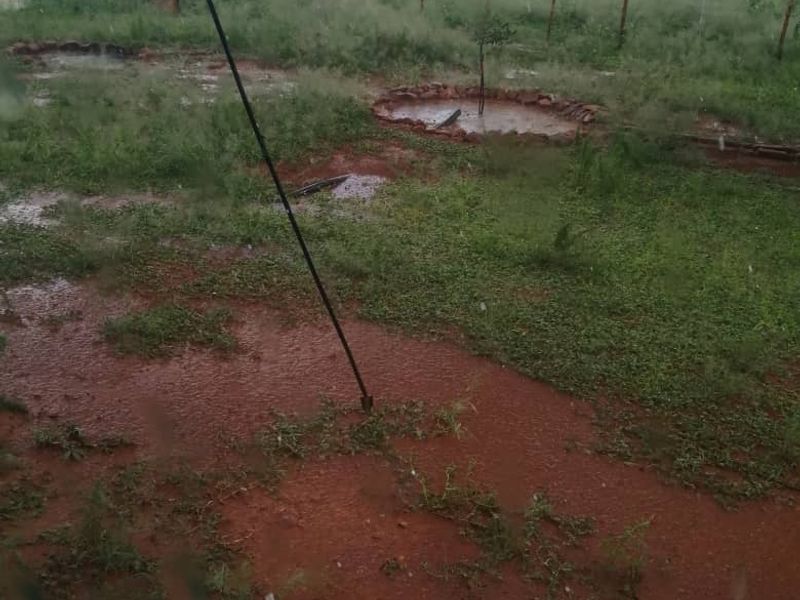BEAUTIFUL LIVESTOCK / TOURISM / HUNTING FARM FOR SALE NEAR BETTA - NAMIBIA - Photo 6