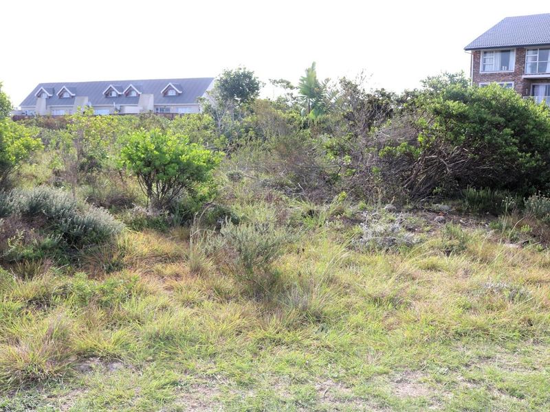 Investor's Dream: 10,839.52m2 Vacant Land for Sale! - Photo 3