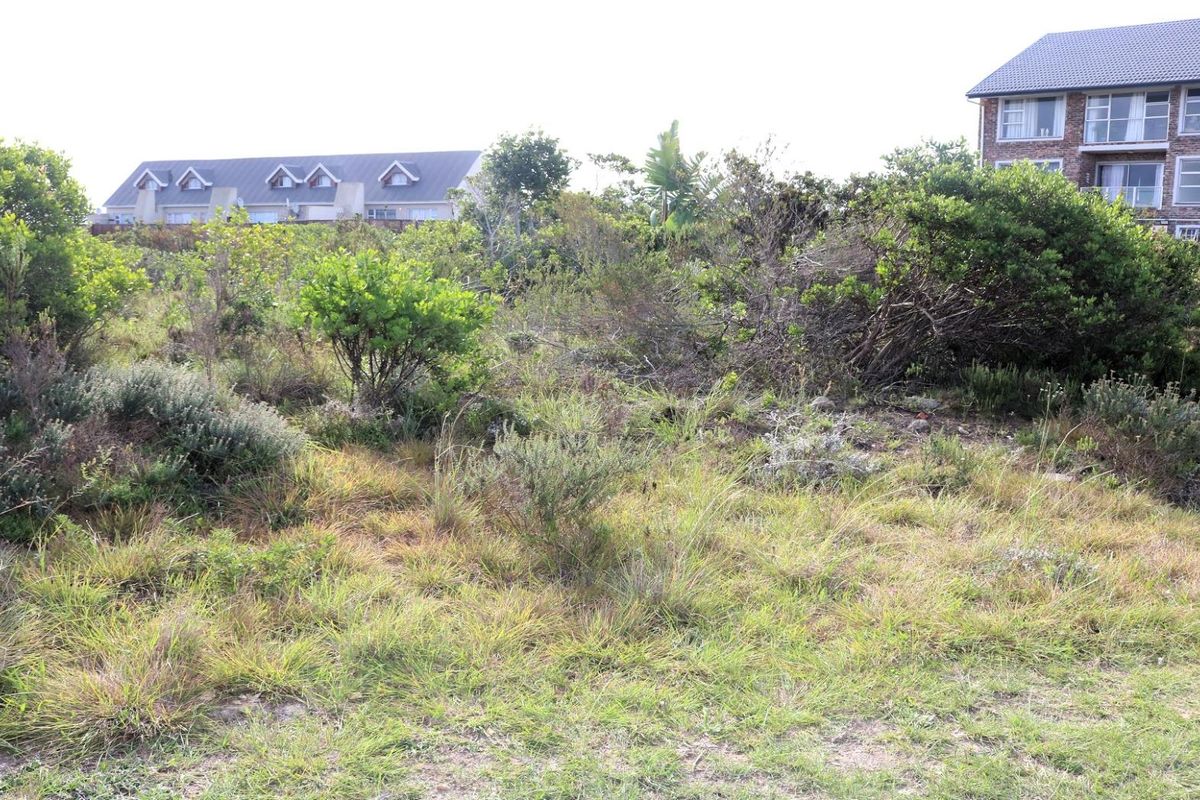 Investor's Dream: 10,839.52m2 Vacant Land for Sale! - Photo 3