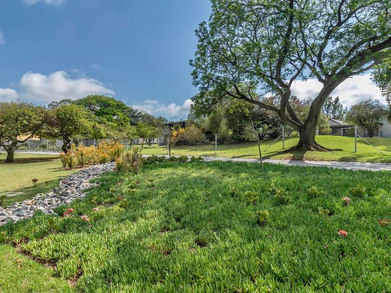 A rare find - Photo 4