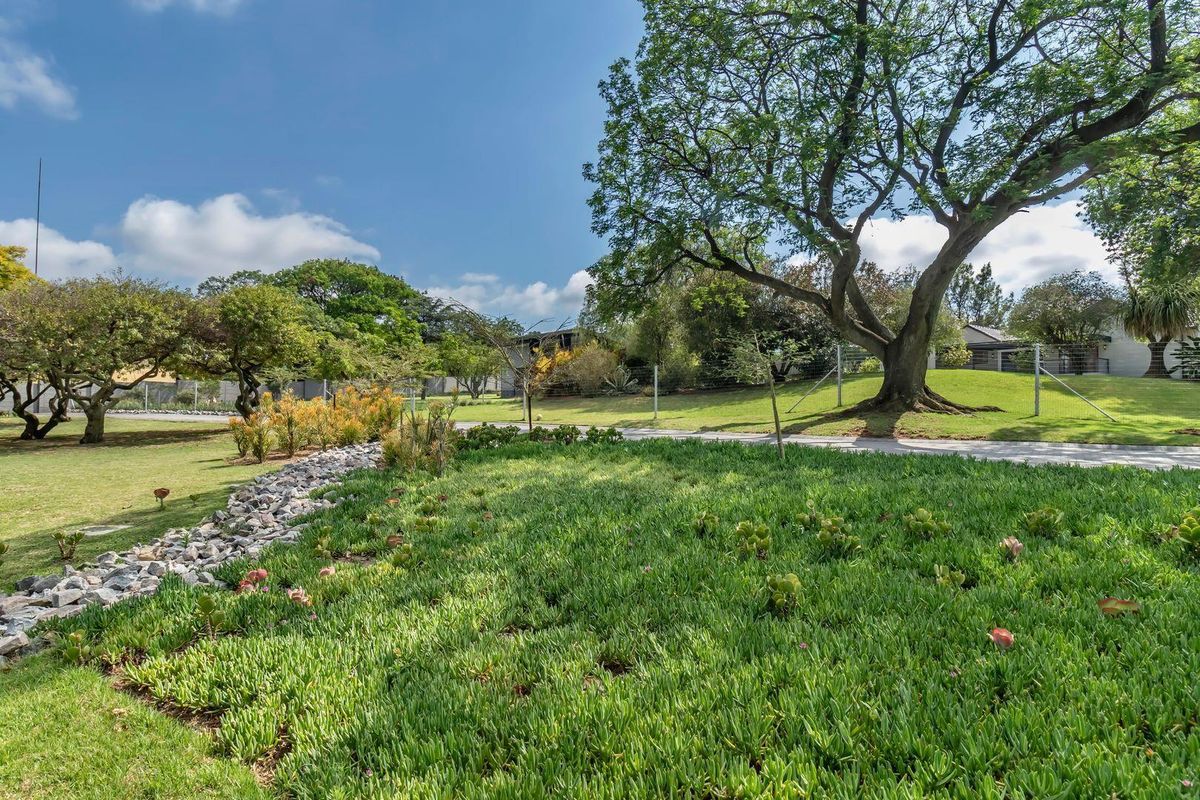 A rare find - Photo 4