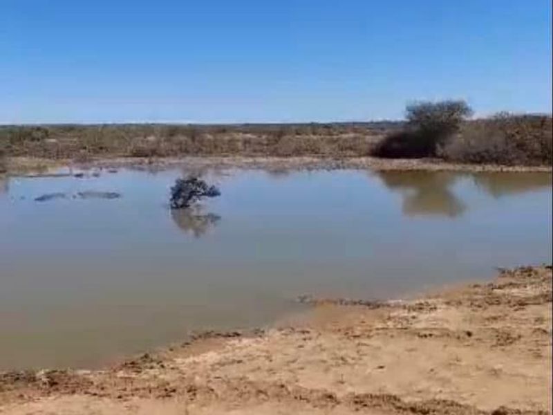 Farm close to Aroab - Photo 10