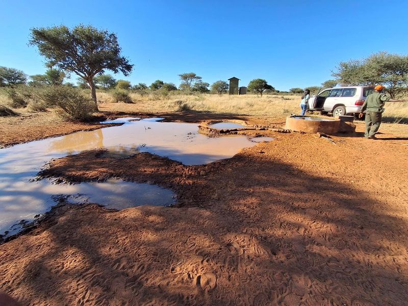 Open farm land featuring a concrete water trough and borehole infrastructure in a natural, rural setting.
