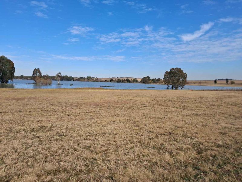 3 Bedroom House To Rent Jeffries Lucern Farm - Photo 6