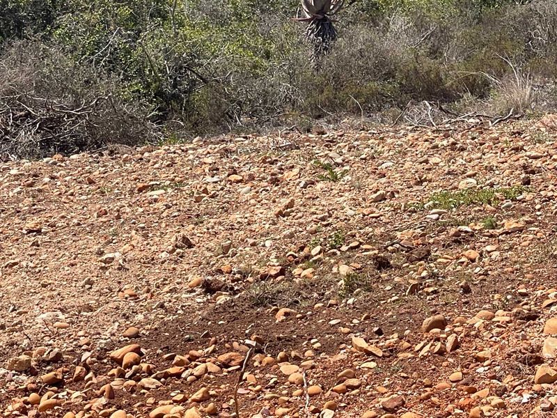 625m2 Vacant Stand For Sale in Hartland Lifestyle Estate - Exclusive Opportunity - Photo 9