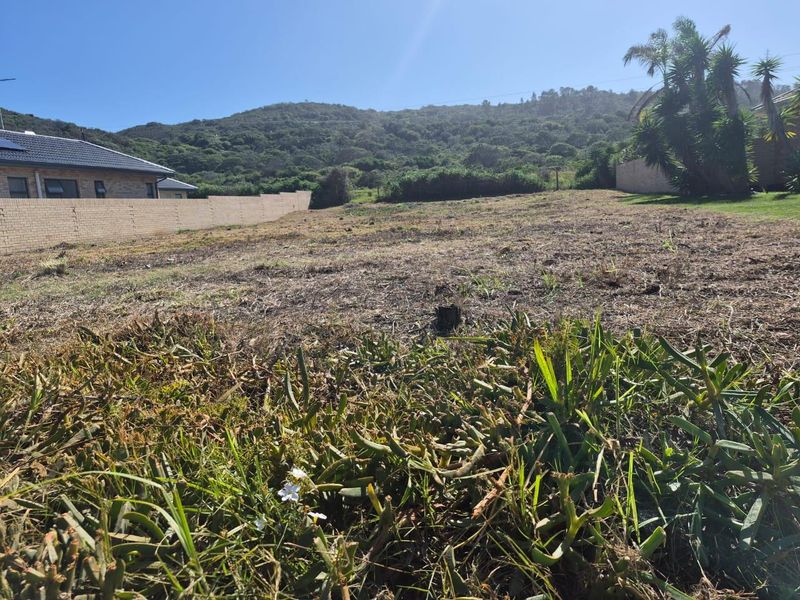 Prime 987m2 Vacant Stand in Hersham, Groot Brak Rivier on the Garden Route - Photo 10