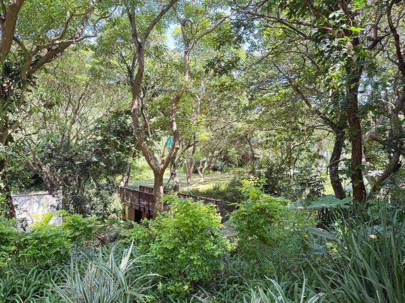 Prime Coastal Investment with Ocean View - Photo 9