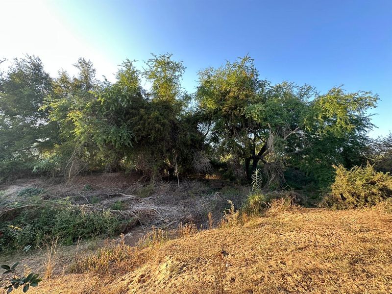 Exceptional Bushveld Stand with River Access - Photo 4