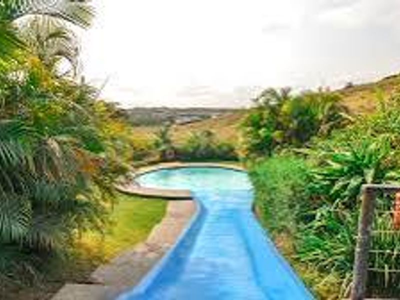 Outdoor swimming pool area featuring a blue water slide surrounded by lush tropical landscaping and scenic hillside views.