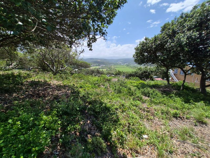 Prime Location: Expansive 1,075m2 Stand in Bergsig, Groot Brak River - Photo 3