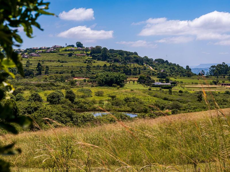 Peaceful Land in Stoneford Country Estate - Photo 3