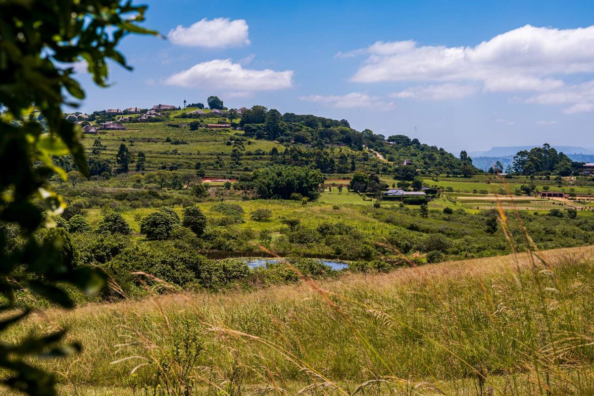 Peaceful Land in Stoneford Country Estate - Photo 3