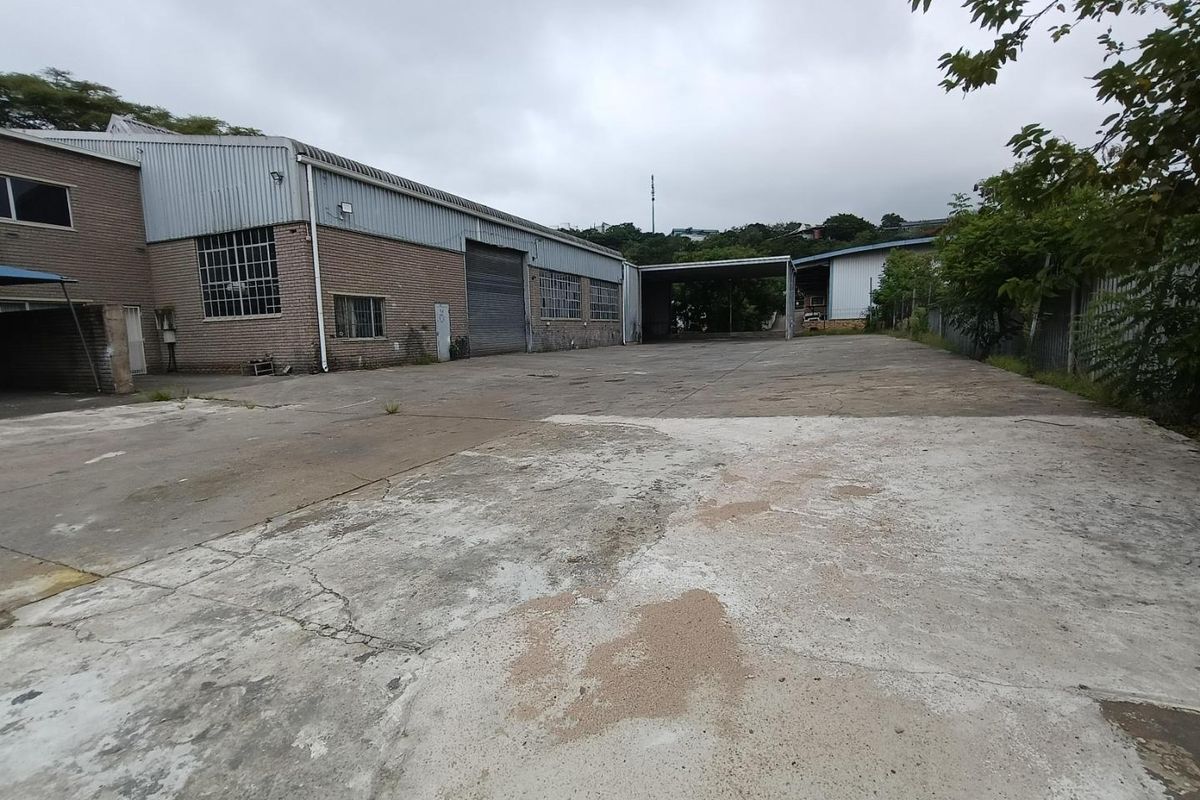 Spacious industrial rear yard featuring a large concrete loading area, roller shutter access, and a covered loading bay structure.