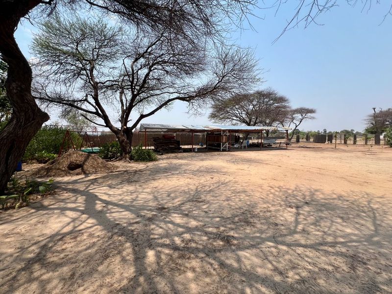 A large, open sandy outdoor area featuring mature trees and a basic corrugated metal roof structure used for storage or utility purposes.