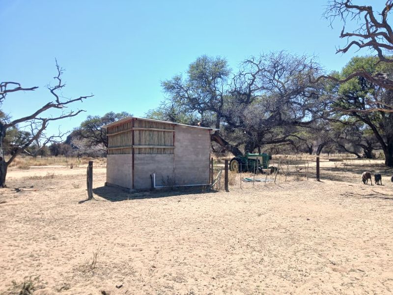 A small, detached utility structure on a rural small holding, featuring cement block walls and a thatched roof.