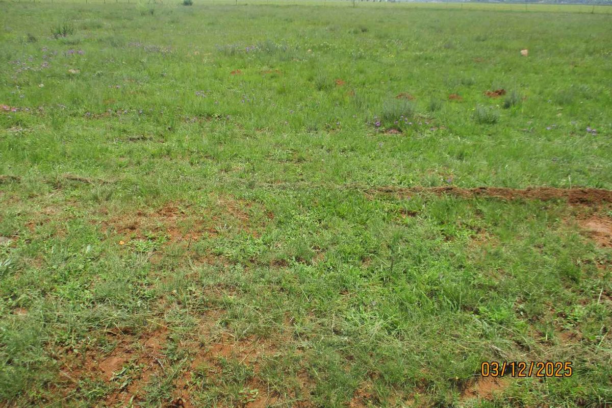 Enjoy the peace and tranquility of Henley on Klip - Photo 5