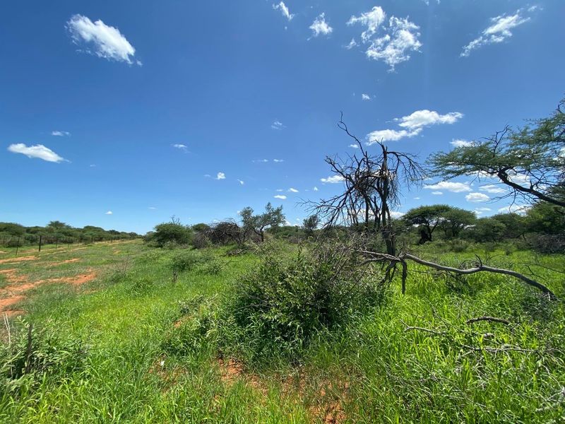 A Rare Opportunity to Own Your Dream Farmland! - Photo 4