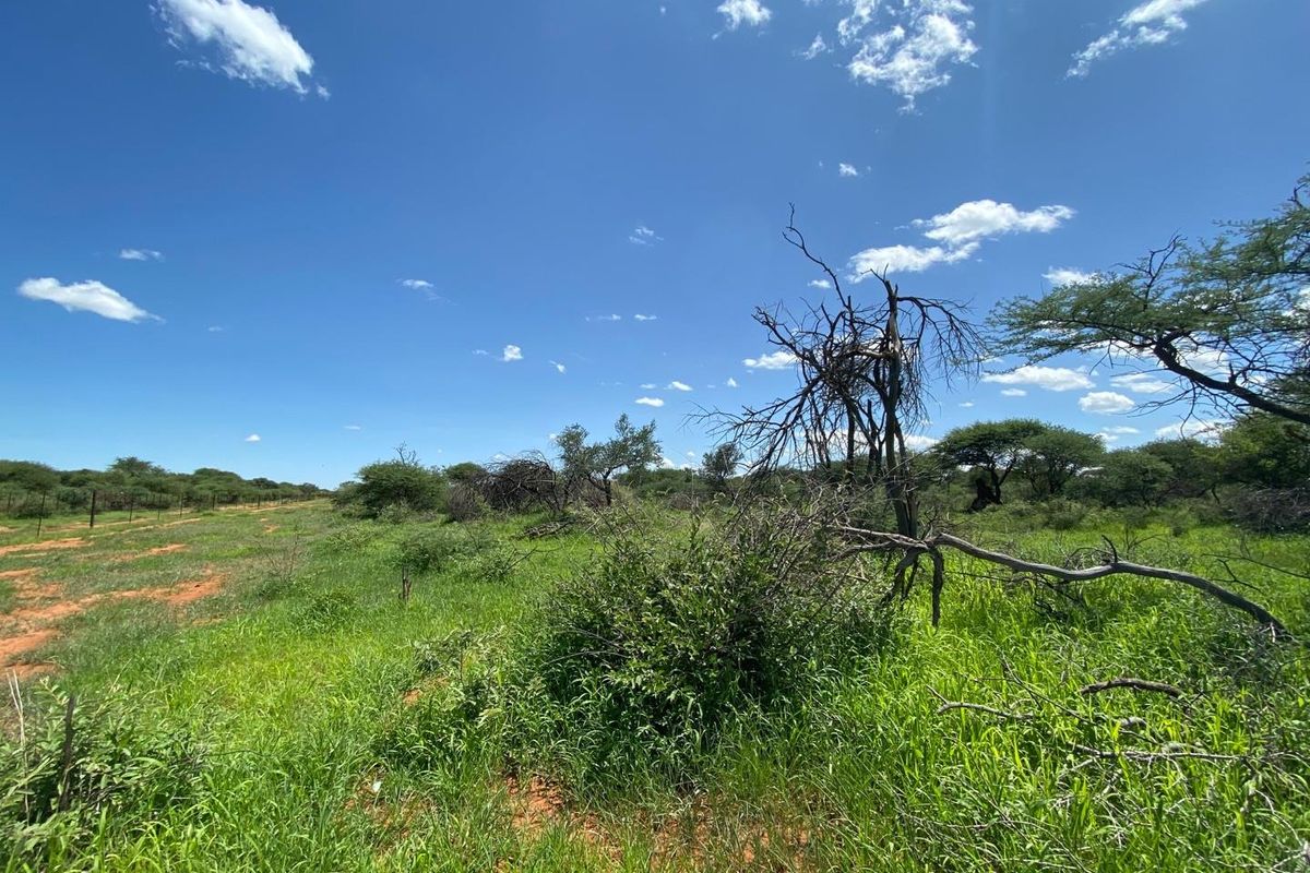 A Rare Opportunity to Own Your Dream Farmland! - Photo 4