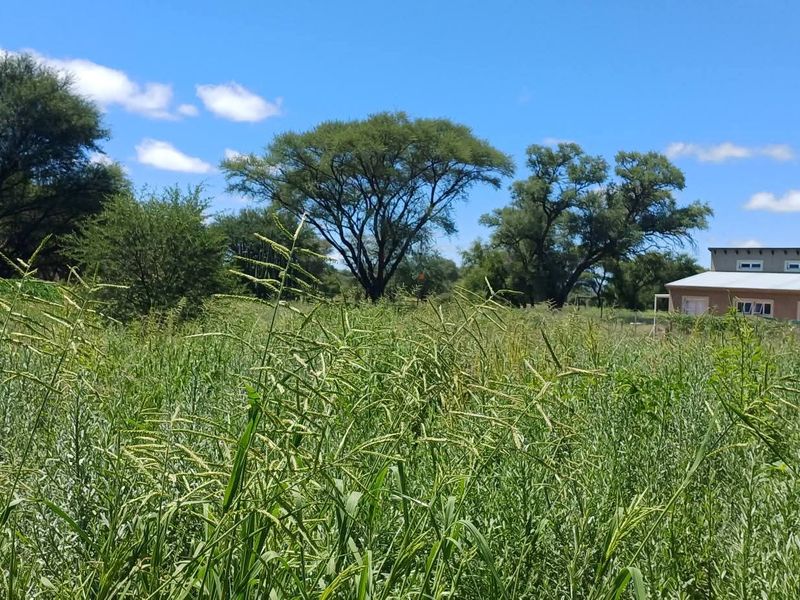 Build your dream home in the heart of nature! ✨ This beautiful vacant erf is situated in the sought-after Okakango River Estate, approximately 3km North-East of - Photo 2
