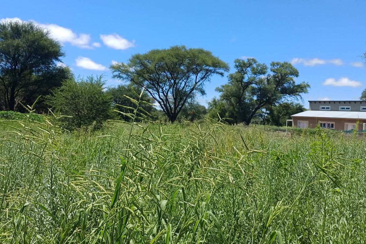 Build your dream home in the heart of nature! ✨ This beautiful vacant erf is situated in the sought-after Okakango River Estate, approximately 3km North-East of - Photo 2