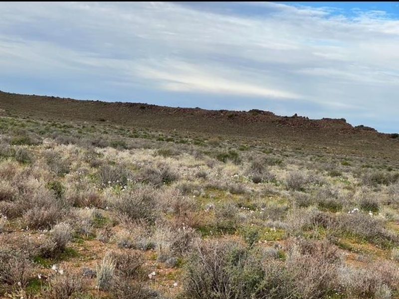 A Rare Karoo Legacy | 5 000 Hectares of Endless Opportunity - Photo 9