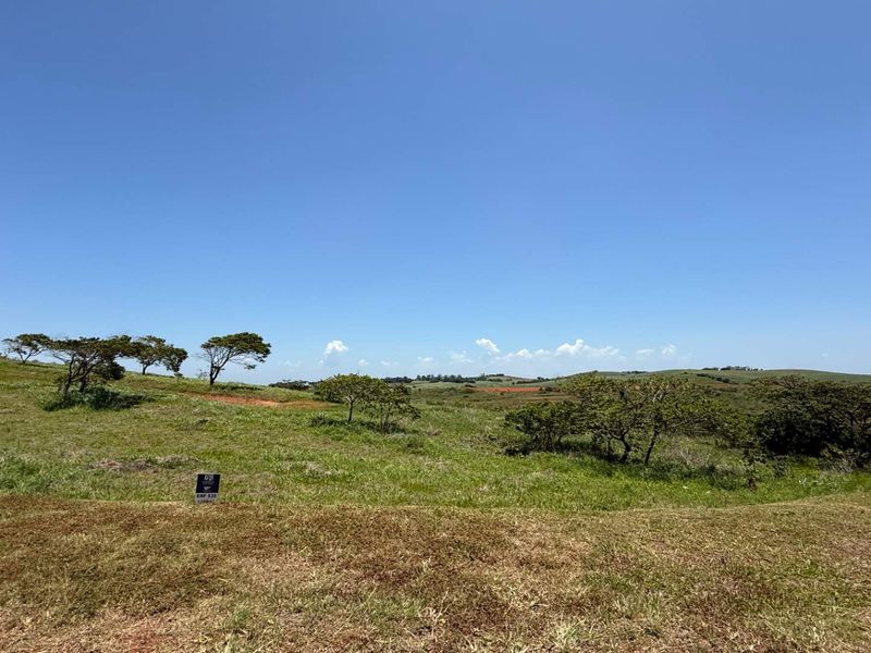 Ready... set... build your dream! - Photo 9