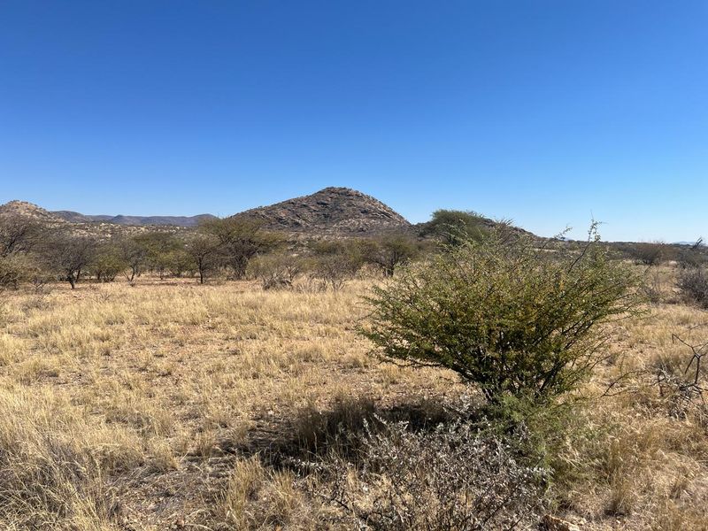 A scenic view of the natural landscape featuring indigenous vegetation and rolling hills under a clear blue sky.