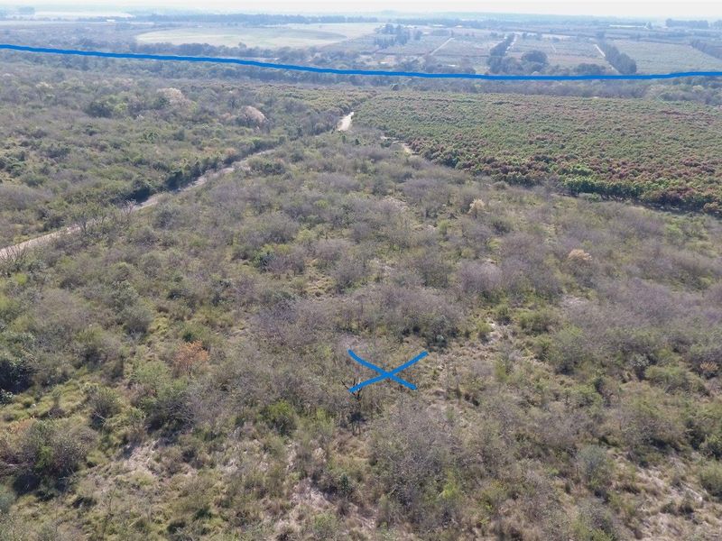 Aerial view of a large, undeveloped farm plot featuring natural vegetation and an adjacent orchard area.