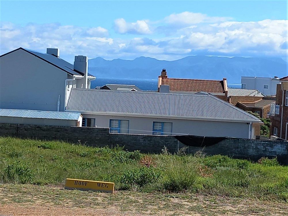 Same as previous photo; now only zoomed in a bit.