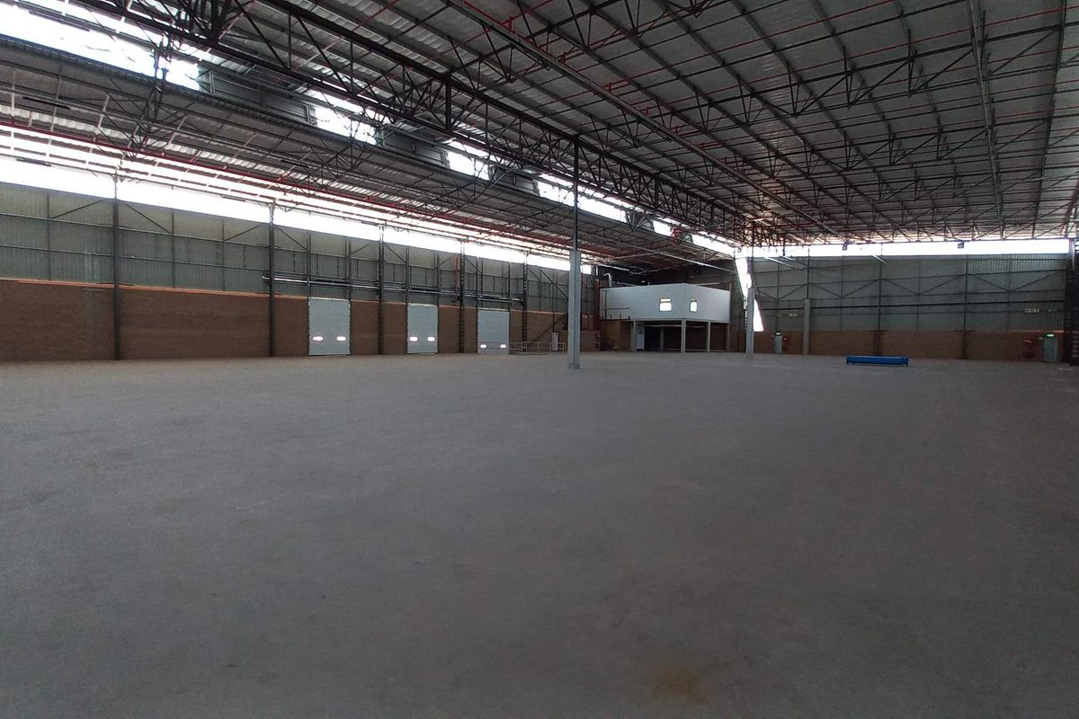A spacious, open-plan industrial warehouse featuring high ceilings with exposed steel trusses, concrete flooring, and multiple roller shutter doors for efficient logistics access.